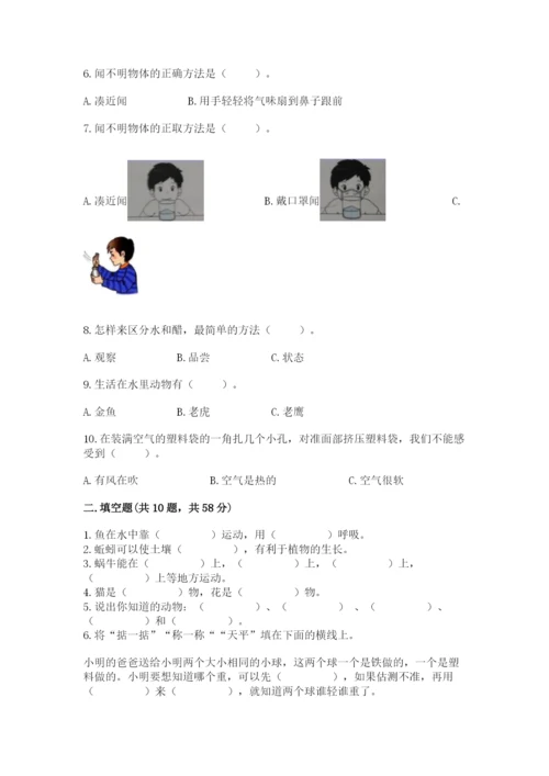 教科版一年级下册科学期末测试卷及完整答案（网校专用）.docx