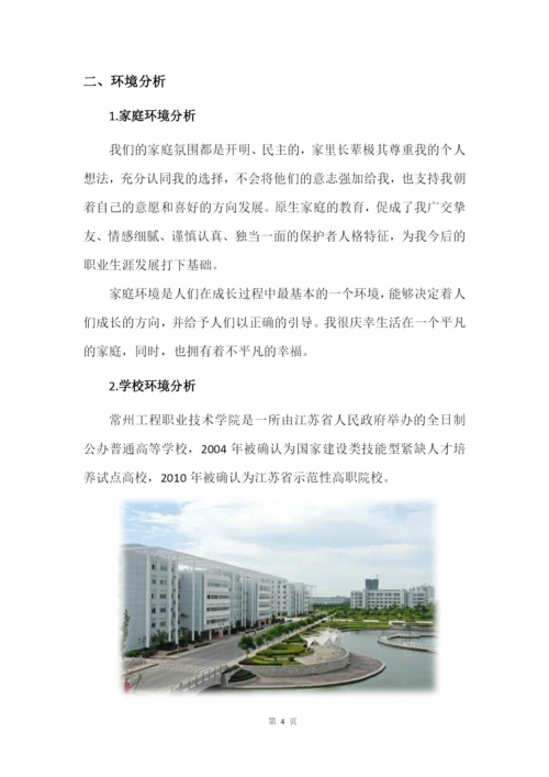 13页4300字药品生产技术专业职业生涯规划.docx