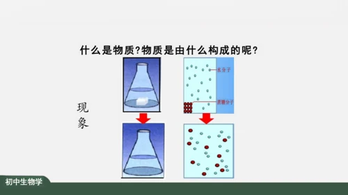 2.1.4  细胞的生活 课件（共26张PPT）