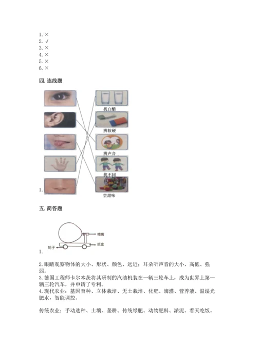 苏教版一年级上册科学 期末测试卷完整.docx