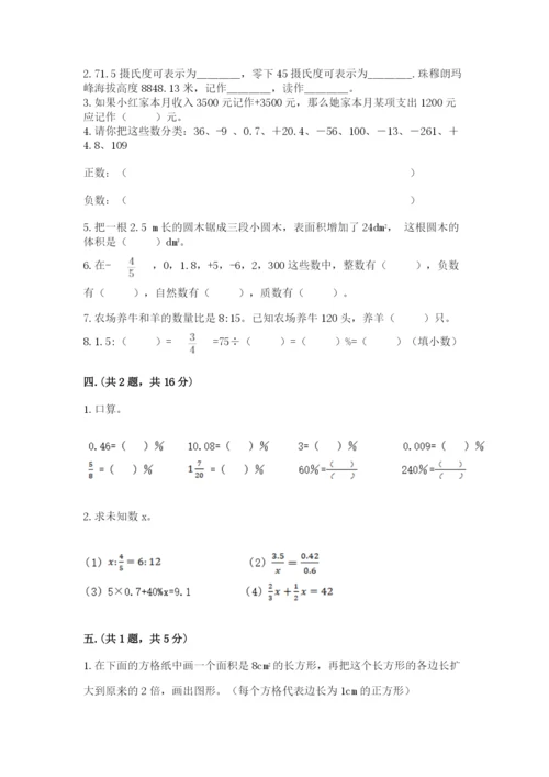 苏教版数学小升初模拟试卷含完整答案【典优】.docx