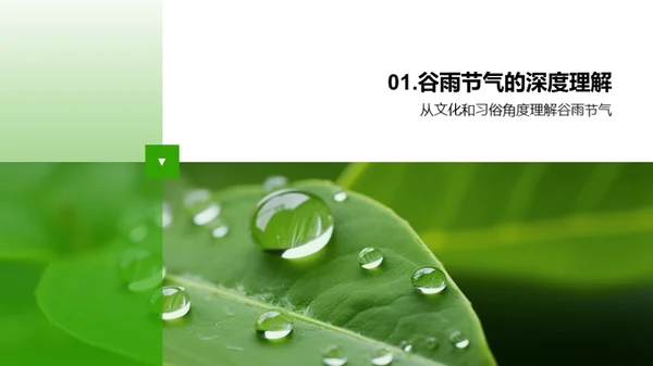 把握谷雨 营销新策略