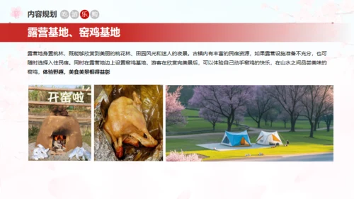 小镇桃花节策划方案通用PPT