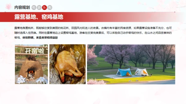 小镇桃花节策划方案通用PPT