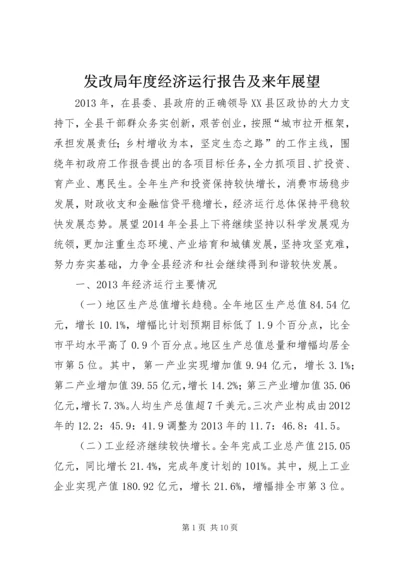 发改局年度经济运行报告及来年展望.docx