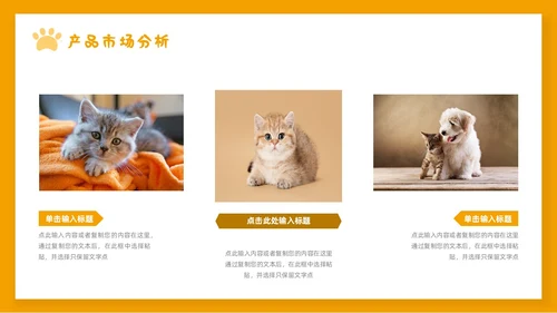 橙色简约宠物行业商业计划书PPT