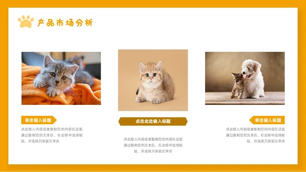 橙色简约宠物行业商业计划书PPT