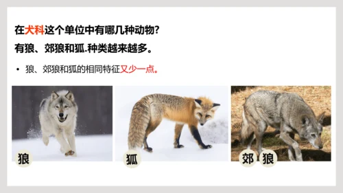 6.1.2+从种到界-【互动课堂】八年级生物上册精品课件（人教版）(共20张PPT)