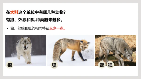 6.1.2+从种到界-【互动课堂】八年级生物上册精品课件（人教版）(共20张PPT)