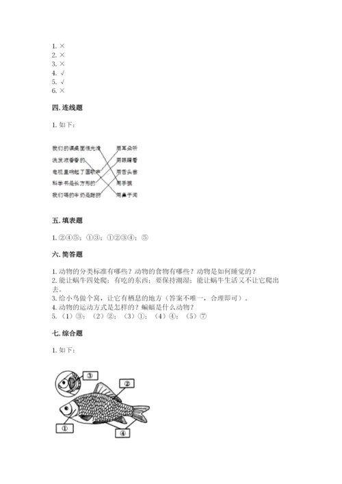 教科版一年级下册科学期末测试卷精品（达标题）.docx