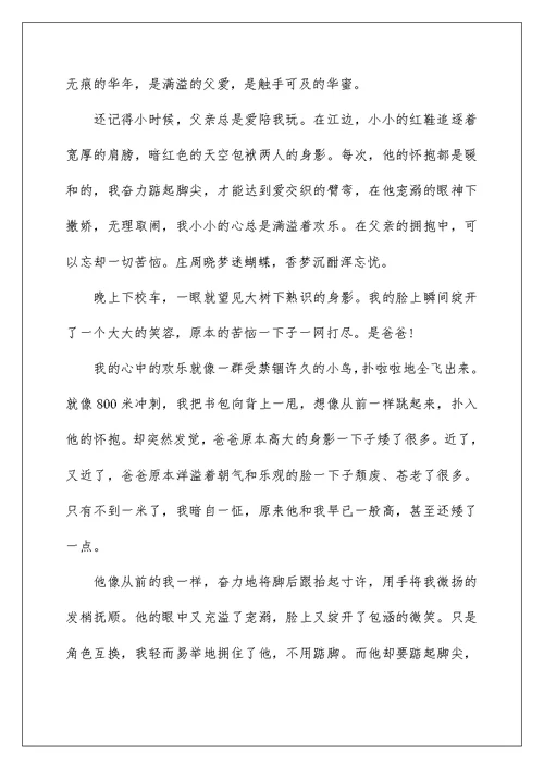 幸福的魅力九年级作文600字