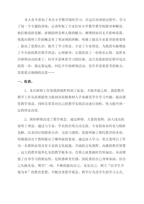 国培研修个人工作总结范文.docx