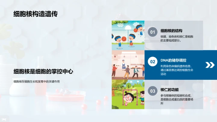 细胞学授课PPT模板