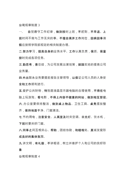 公司规章制度 (1)