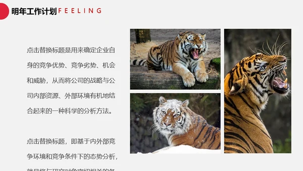 时尚虎年总结汇报通用PPT模板