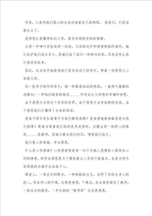 感恩父母演讲稿：专心滋养感恩之花