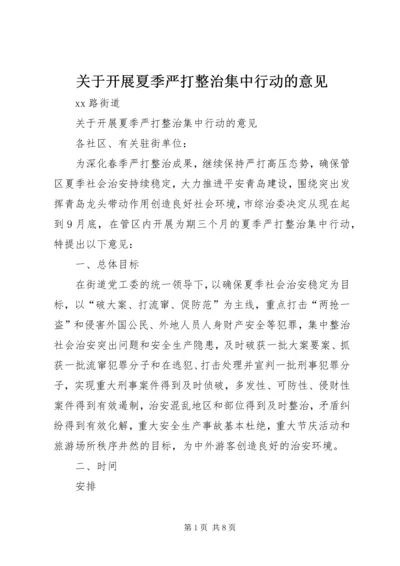 关于开展夏季严打整治集中行动的意见.docx