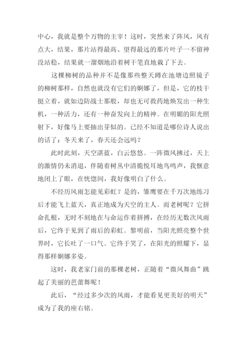 门前的那棵老树宋卓颖作文900字.docx