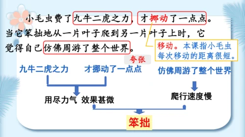 22.小毛虫（第二课时）教学课件