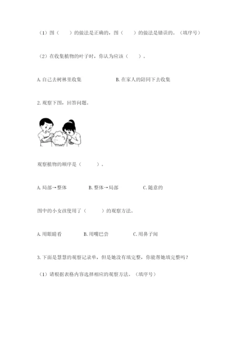 教科版科学一年级上册第一单元《植物》测试卷1套.docx