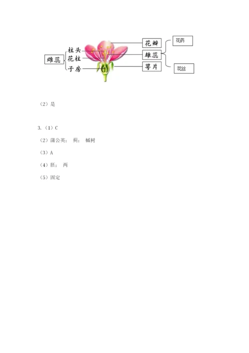 科学四年级下册第一单元植物的生长变化测试卷【精选题】.docx