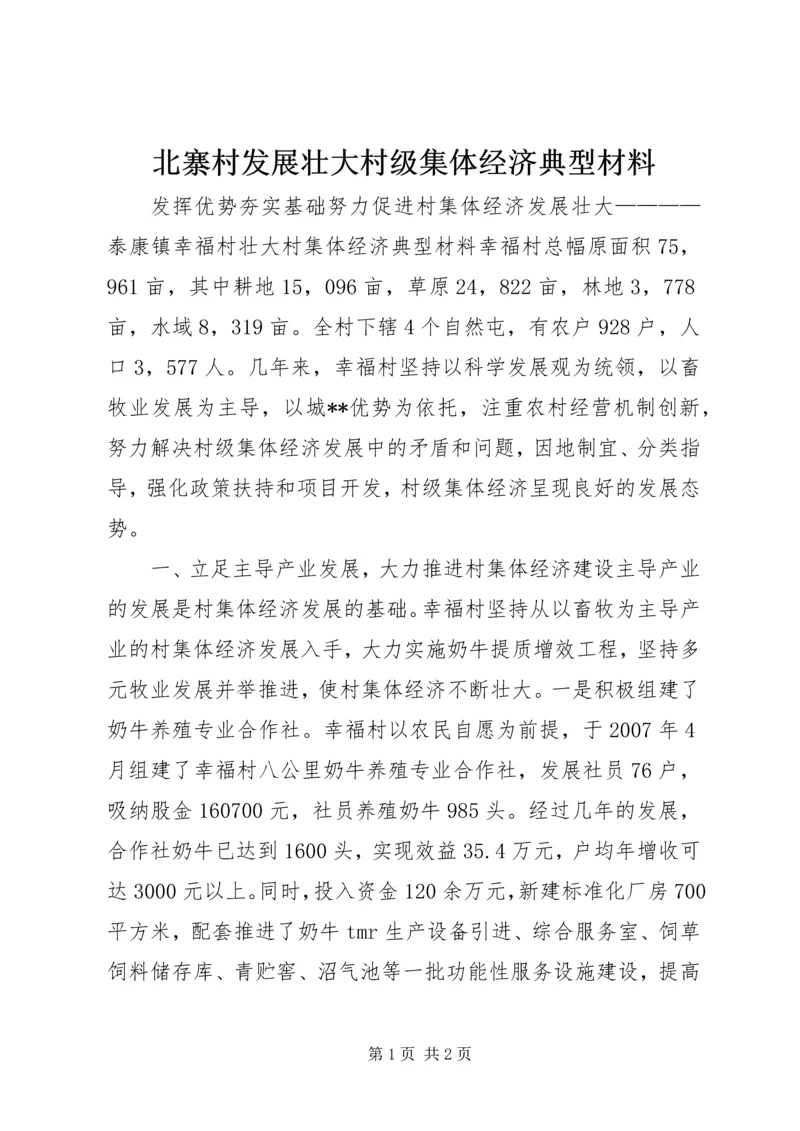 北寨村发展壮大村级集体经济典型材料.docx