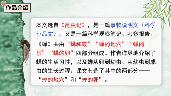 21《蝉》课件