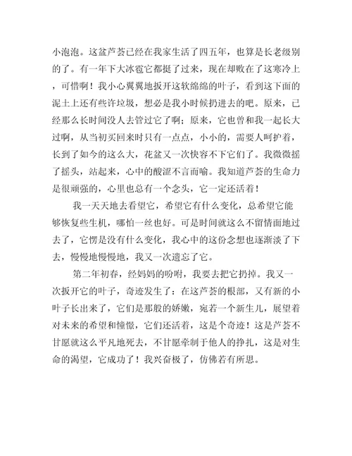 关于关于奇迹的心得体会高分作文三篇