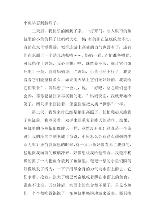 养金鱼的启示作文.docx