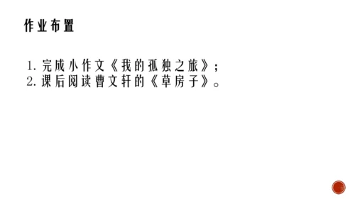 17 孤独之旅 课件