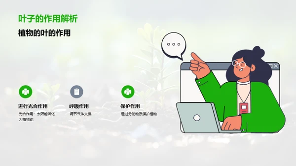 植物生长奥秘解析