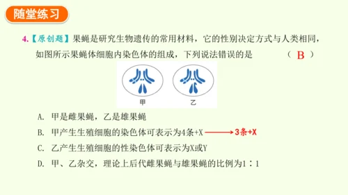 7.2.4人的性别遗传-八年级生物人教版下学期同步精品课件(共28张PPT)