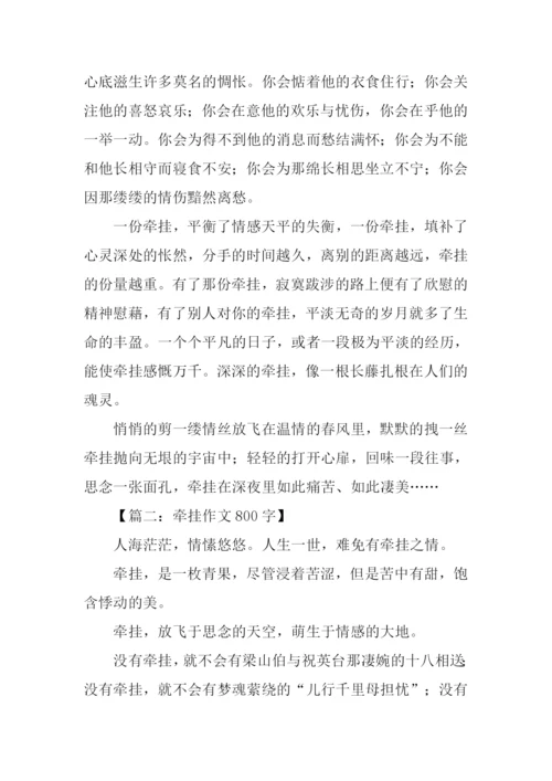 牵挂作文800字0.docx