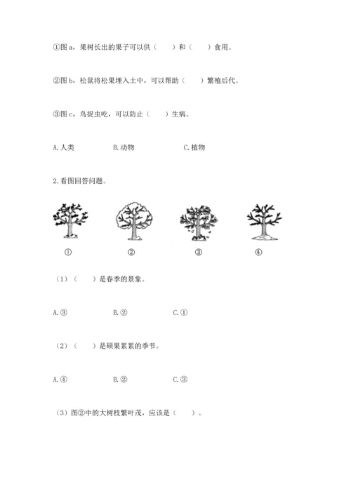 教科版二年级上册科学期末测试卷a4版.docx