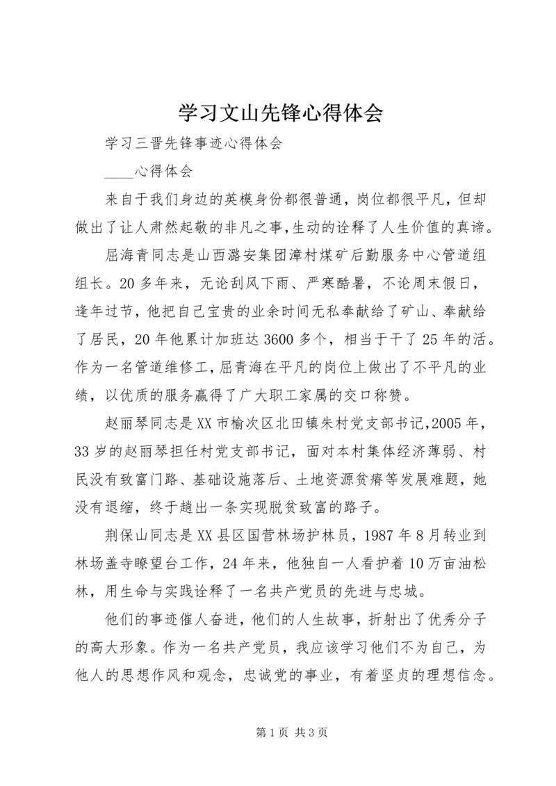 学习文山先锋心得体会 (2).docx