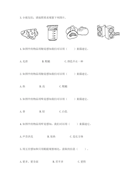 教科版小学科学二年级下册 期末测试卷精品【有一套】.docx