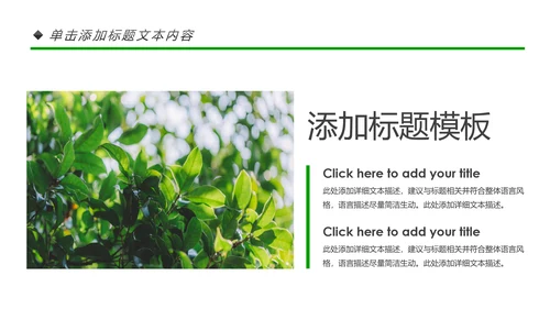 绿色环保森林生态文明建设森林日环保PPT模板