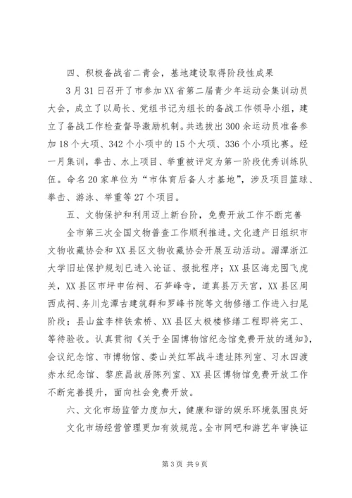 文化体育局上半年工作总结及下半年工作计划.docx