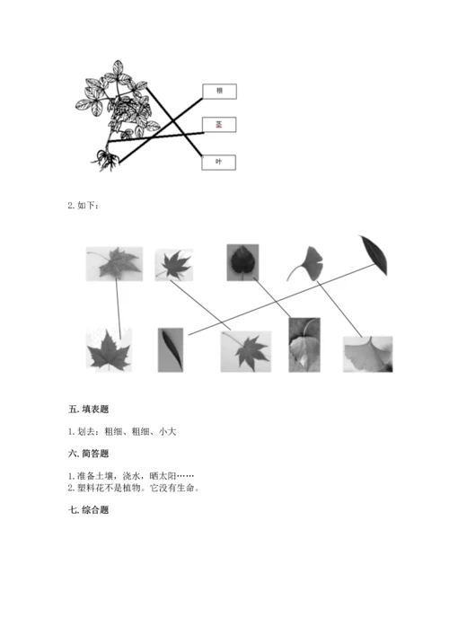 教科版科学一年级上册第一单元《植物》测试卷及参考答案【完整版】.docx