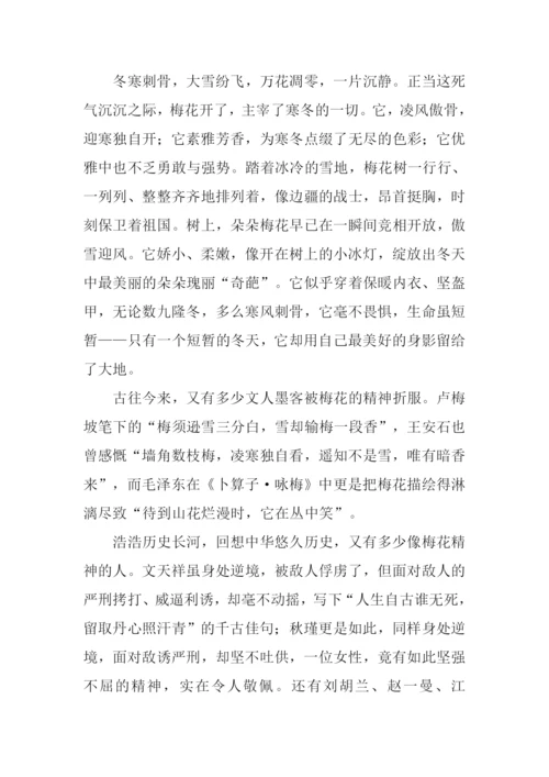 梅花的作文0.docx