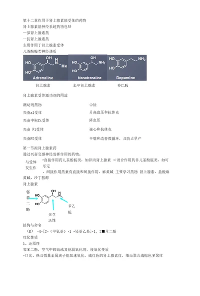 12作用于肾上腺素能受体的药物