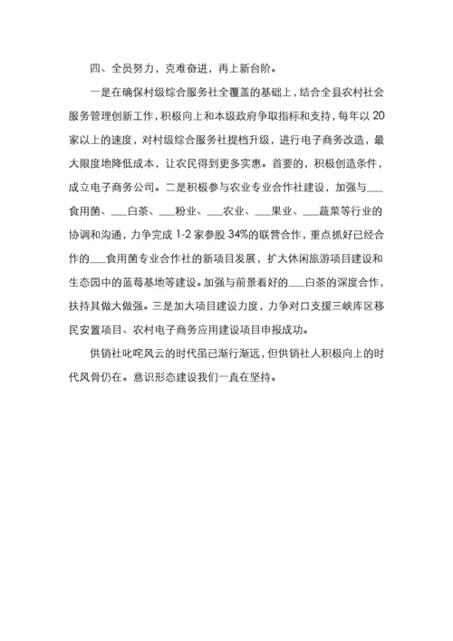 县供销社党组领导班子意识形态工作总结.docx