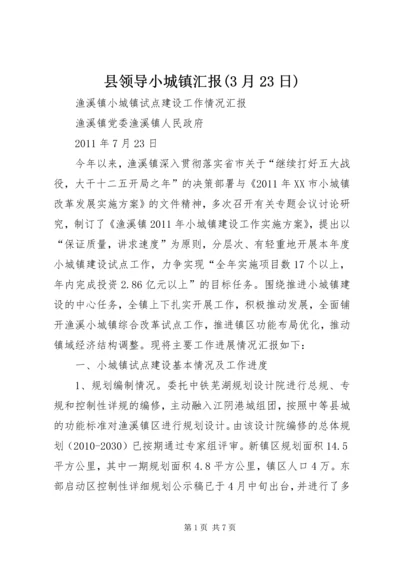 县领导小城镇汇报(3月23日) (2).docx