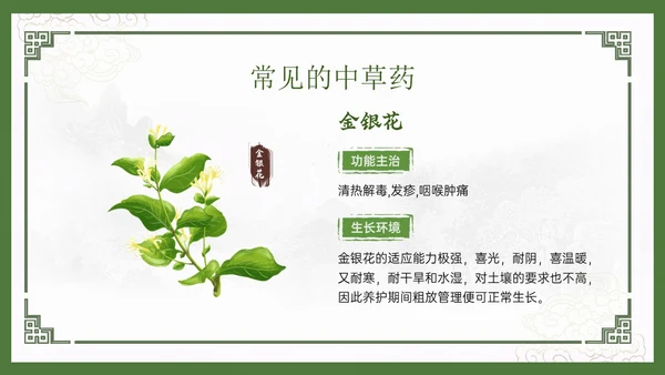 绿色中国风古风神奇中草药主题班会PPT模板中医药