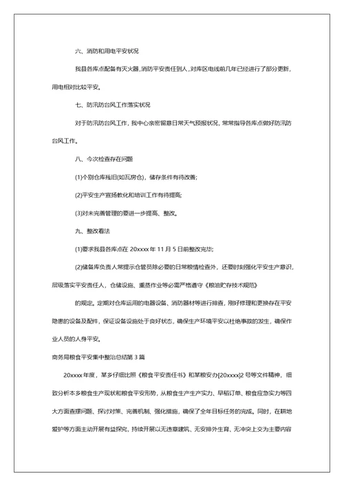 商务局粮食安全集中整治总结第1篇