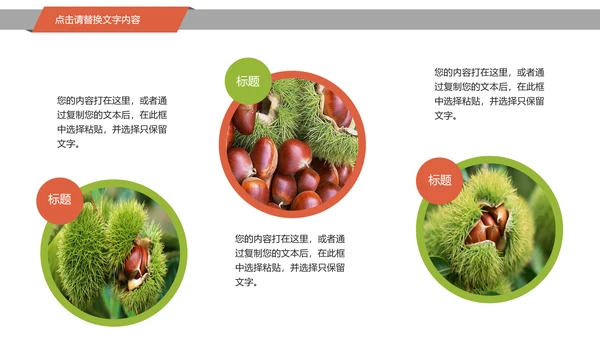 美食坚果板栗宣传动态PPT模板