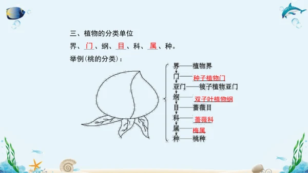 人教版八年级生物上册6.1《根据生物的特征进行分类》复习课件（含19张ppt）