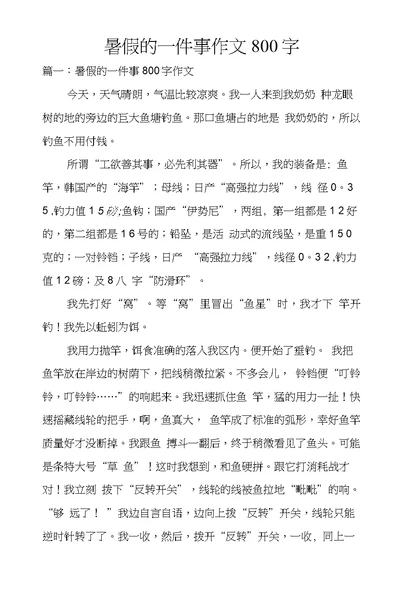 暑假的一件事作文800字