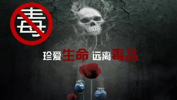 珍爱生命禁毒无毒PPT