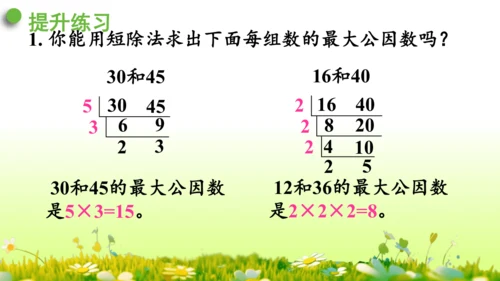 4.约分 （课件）-数学人教版五年级下册(共62张PPT)